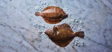 Kish Fish Quality Seafood