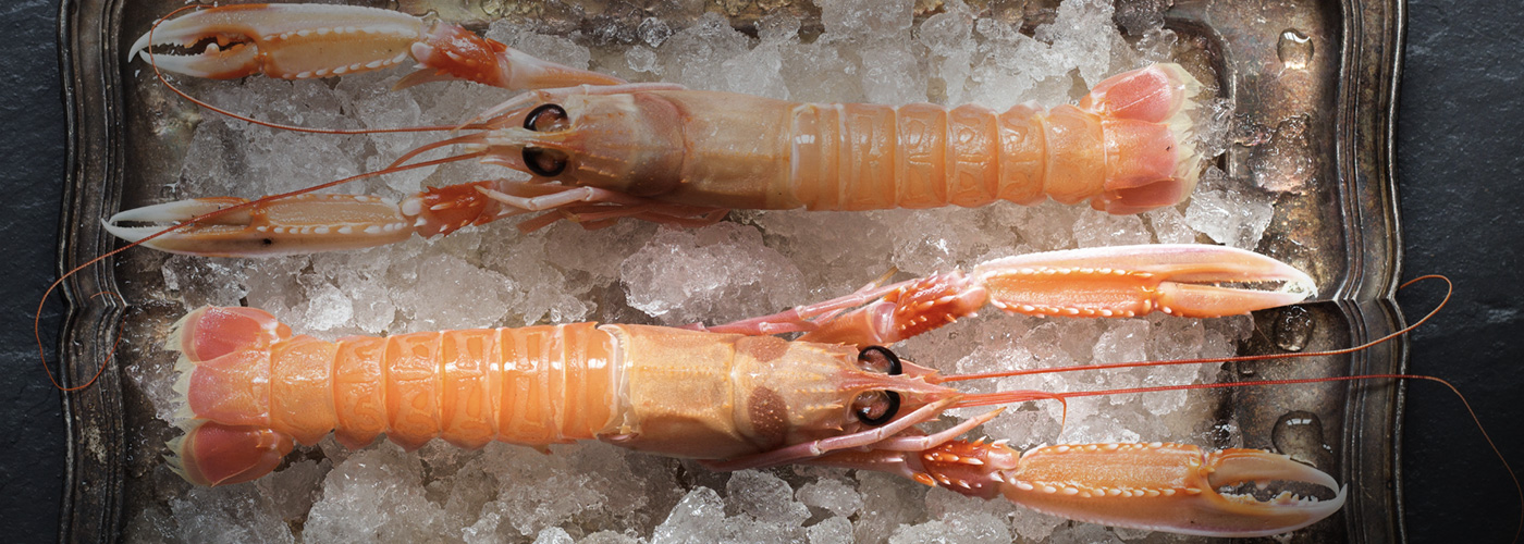 Kish Fish Frozen Seafood