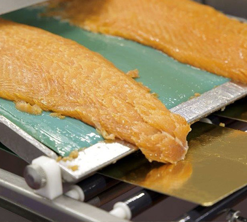 Kish Fish Production